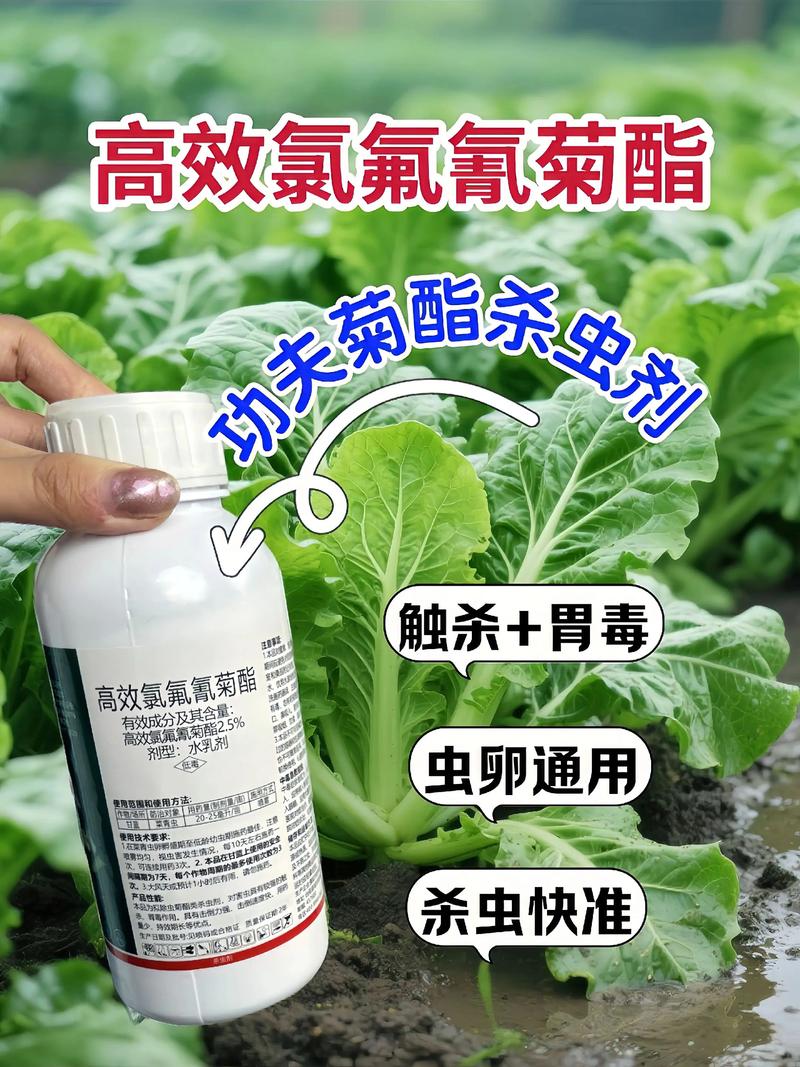 雅安代生中心:农药对供卵代生妈妈的危害